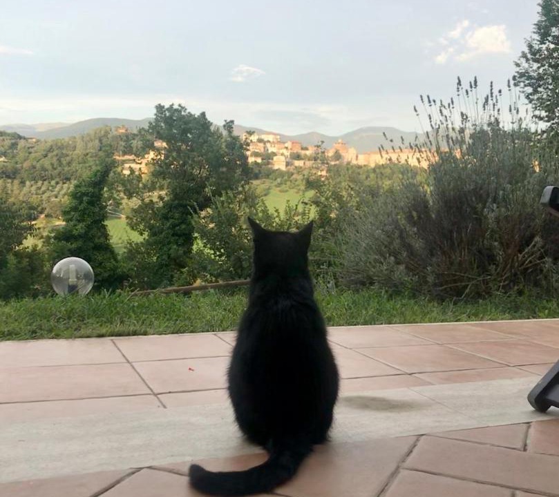 Photo of Others in Terni