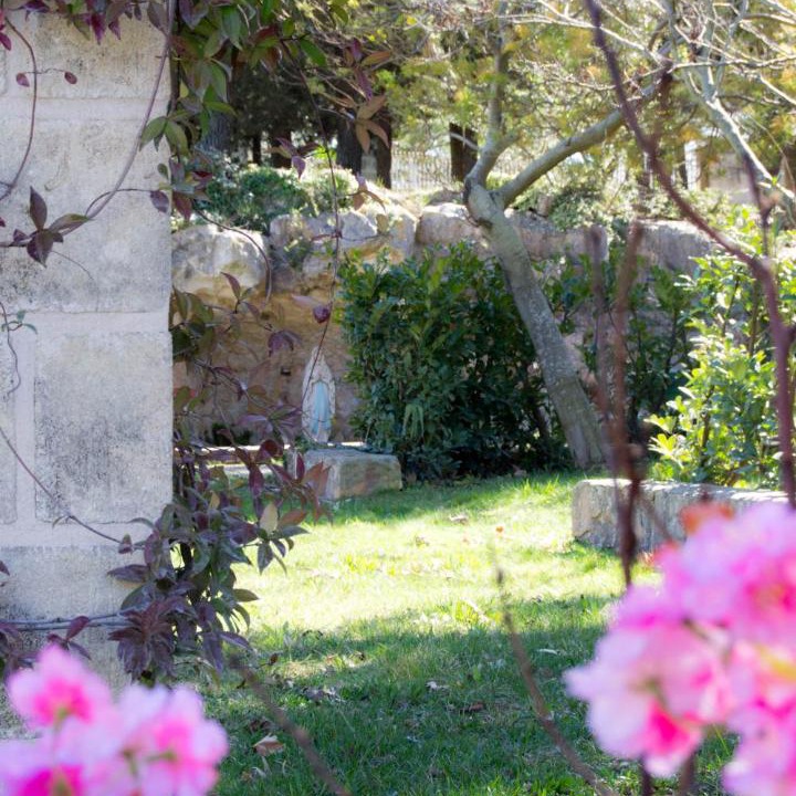 Photo of Others in Ostuni