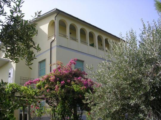 Photo of Others in Velletri