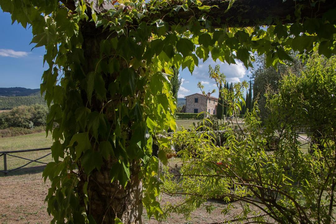 Photo of Others in San Venanzo