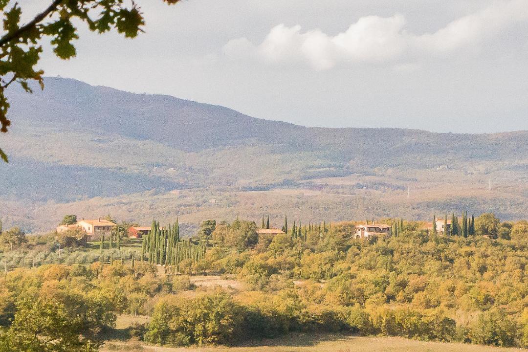 Photo of Others in San Venanzo