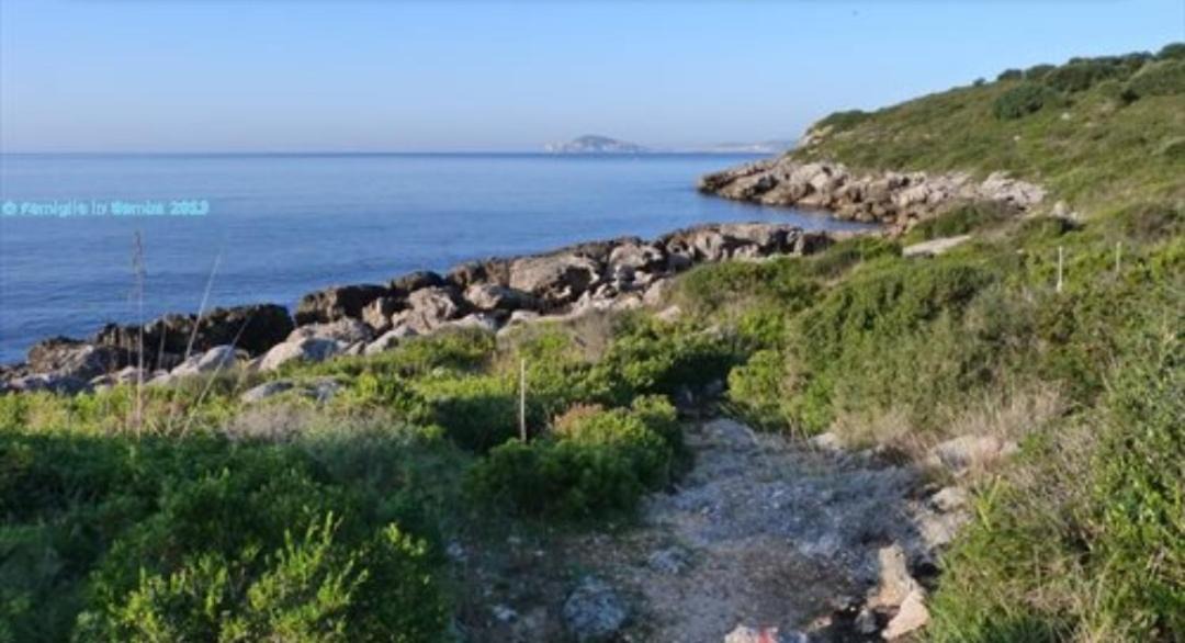 Photo of Others in Formia