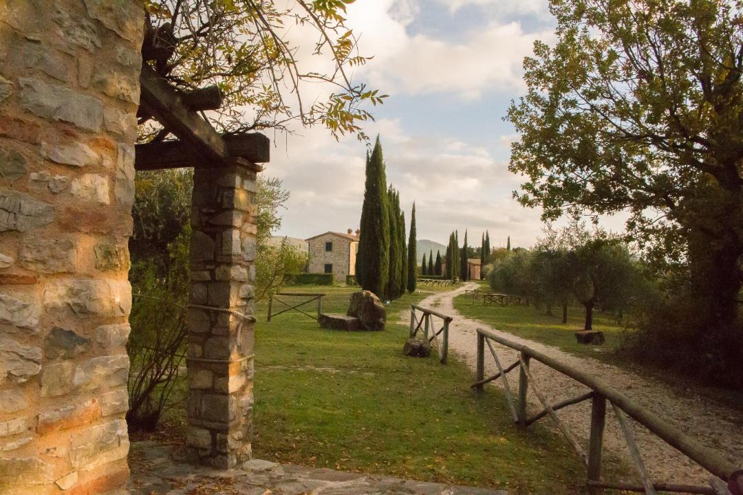Photo of Others in San Venanzo