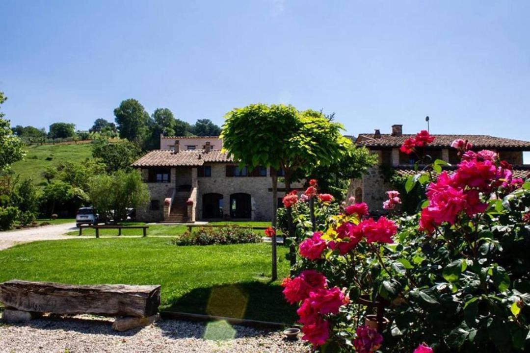 Photo of Others in Lugnano in Teverina