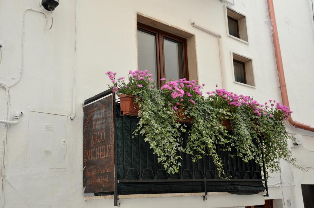 Photo of Others in Putignano