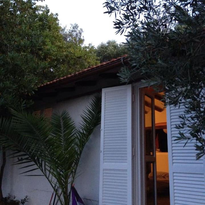 Photo of Others in Monte Argentario