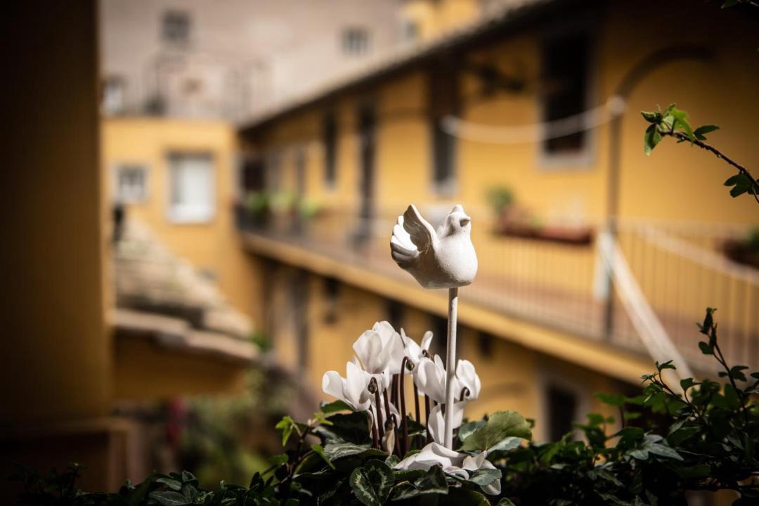 Photo of Others in Rione VI Parione