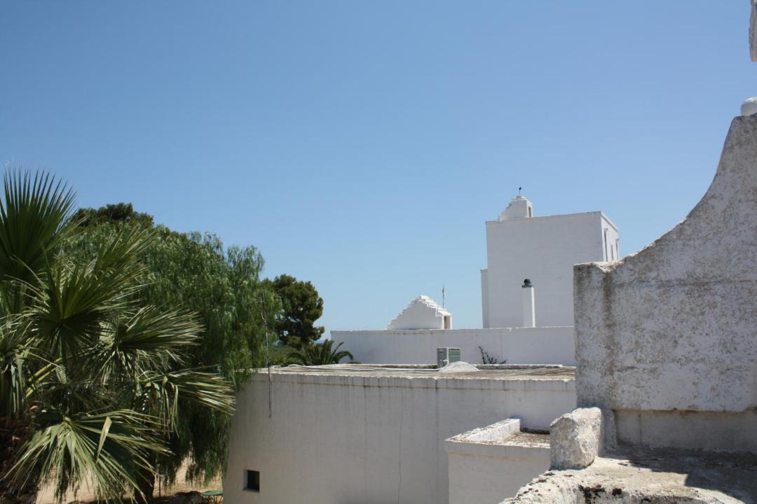 Photo of Others in Fasano