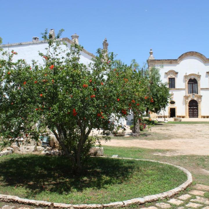 Photo of Others in Fasano