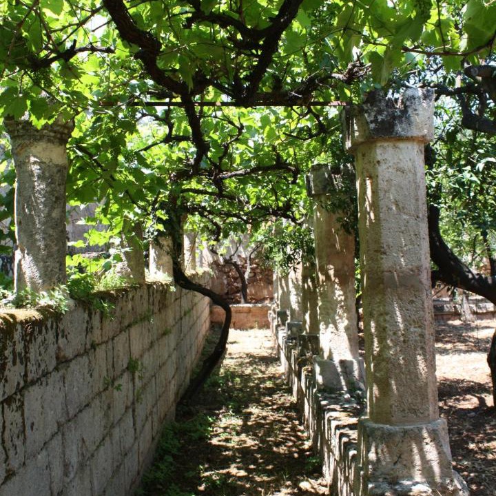 Photo of Others in Fasano