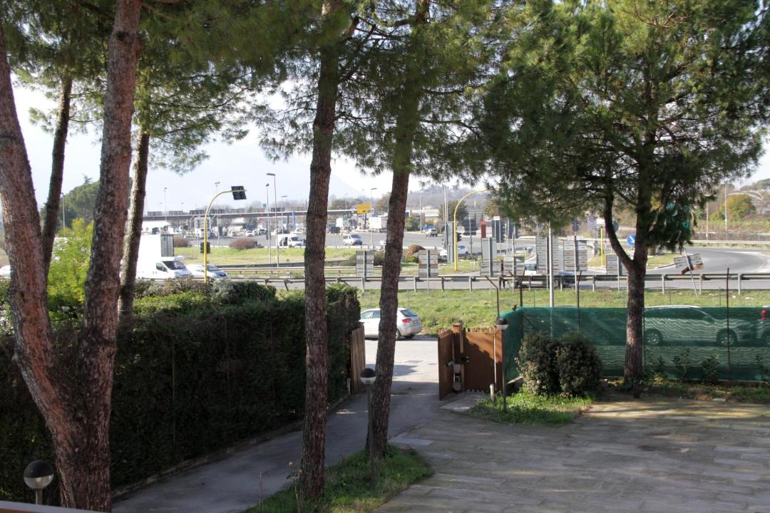 Photo of Others in Frosinone