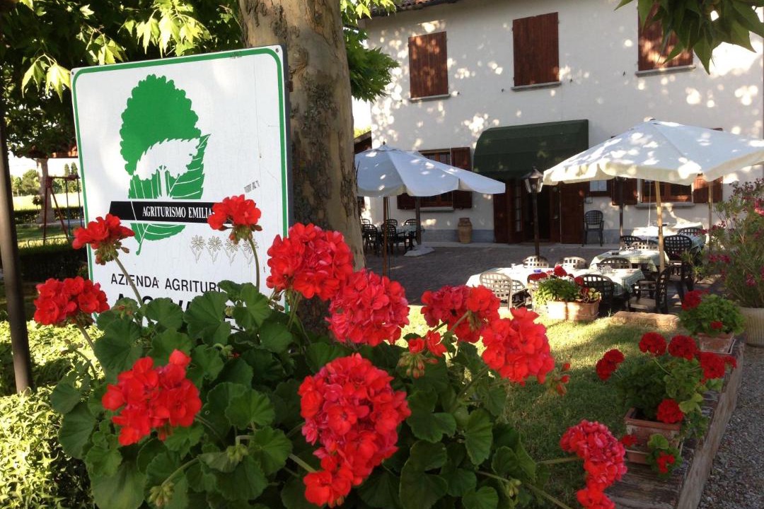Photo of Others in Monteveglio