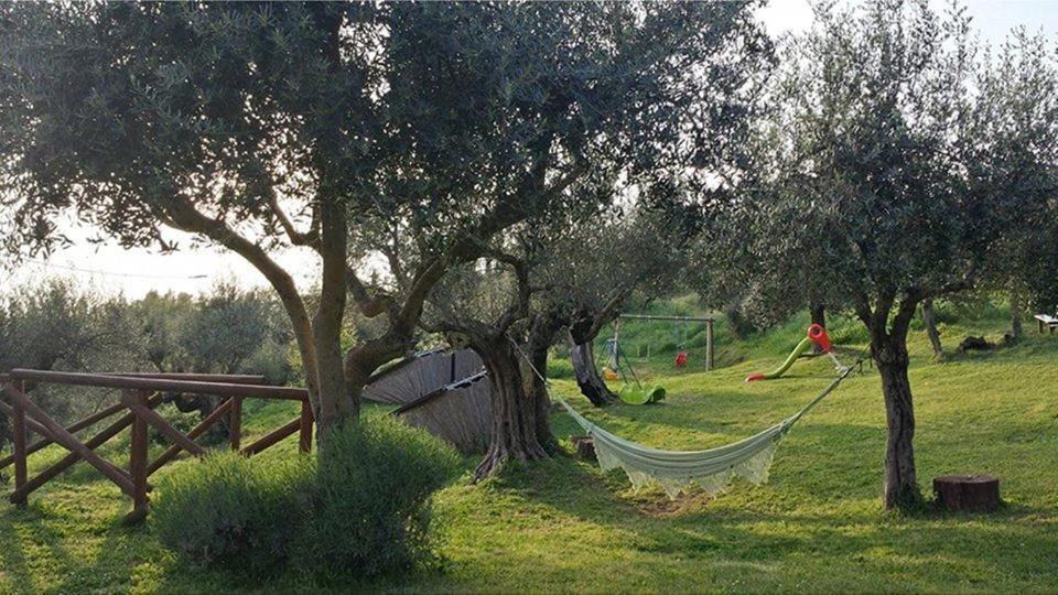 Photo of Outdoor in Isola Polvese
