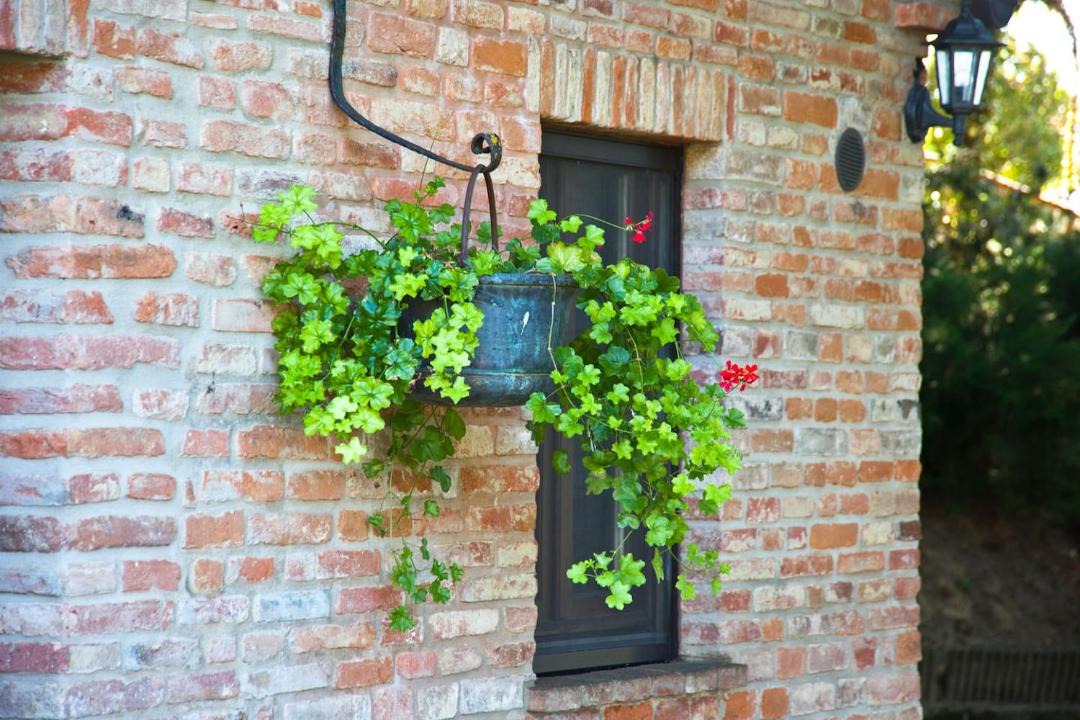 Photo of Others in Castiglione del Lago