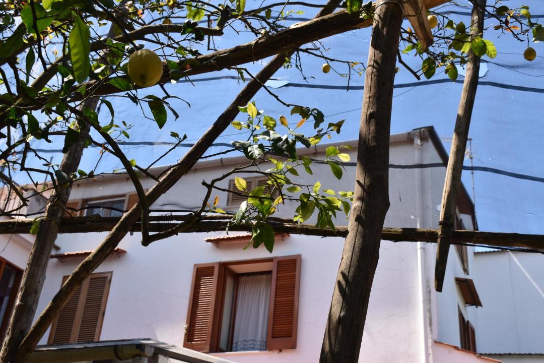 Photo of Others in Sant'Agnello