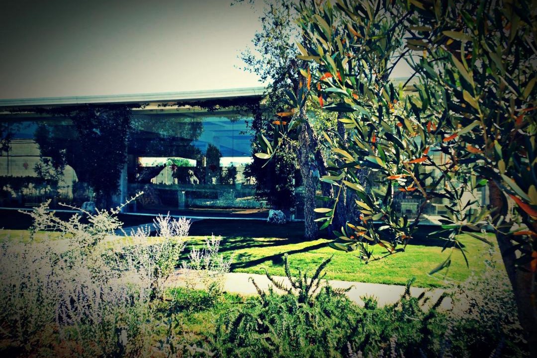 Photo of Others in Fasano
