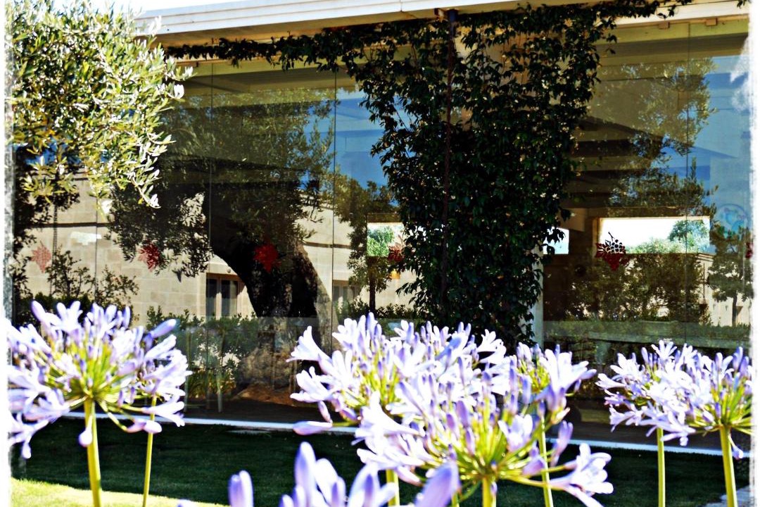 Photo of Others in Fasano