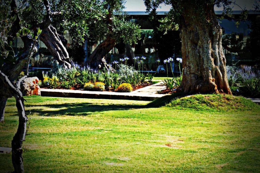 Photo of Others in Fasano