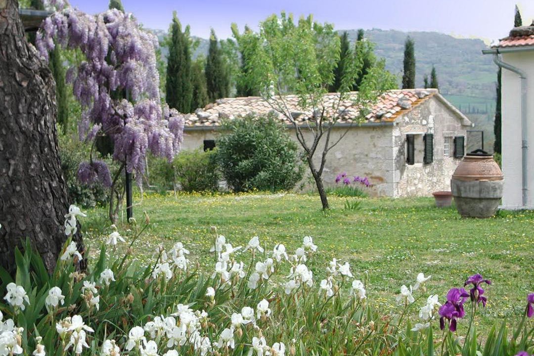 Photo of Others in Saturnia