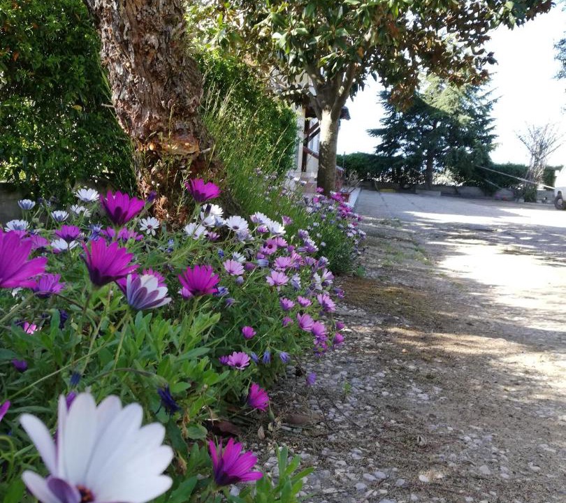 Photo of Others in Sperlonga