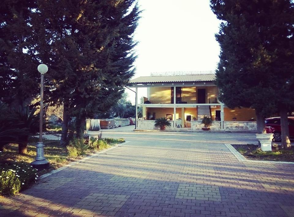 Photo of Others in Municipio 4