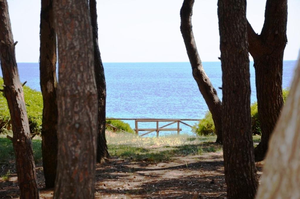 Photo of Others in Ogliastro Marina