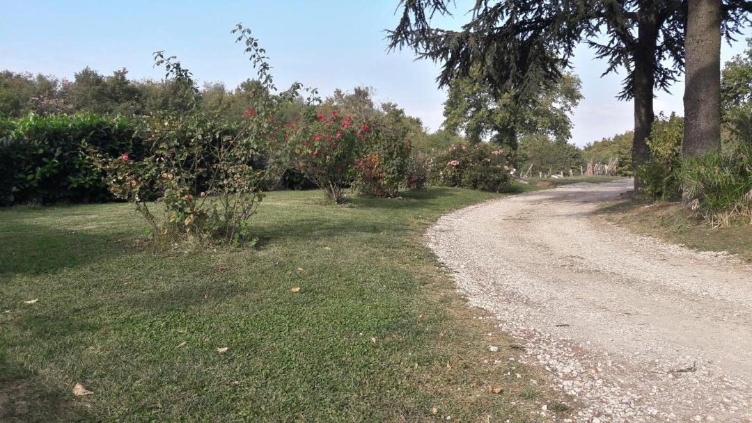Photo of Others in Porano