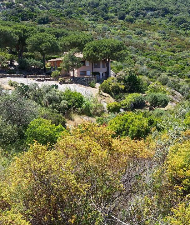 Photo of Others in Arenella
