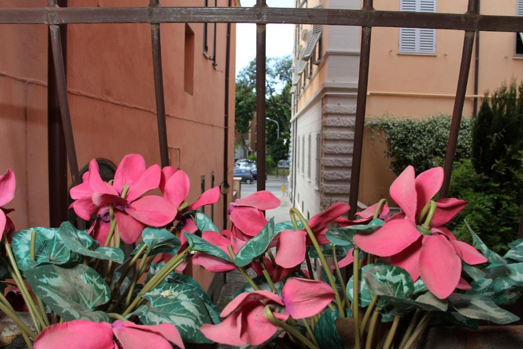Photo of Others in Grosseto