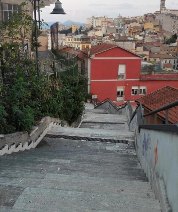 Photo of Others in Frosinone