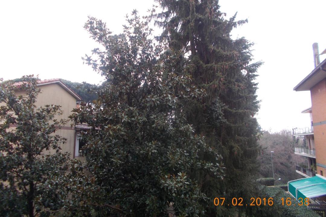 Photo of Others in San Cesareo