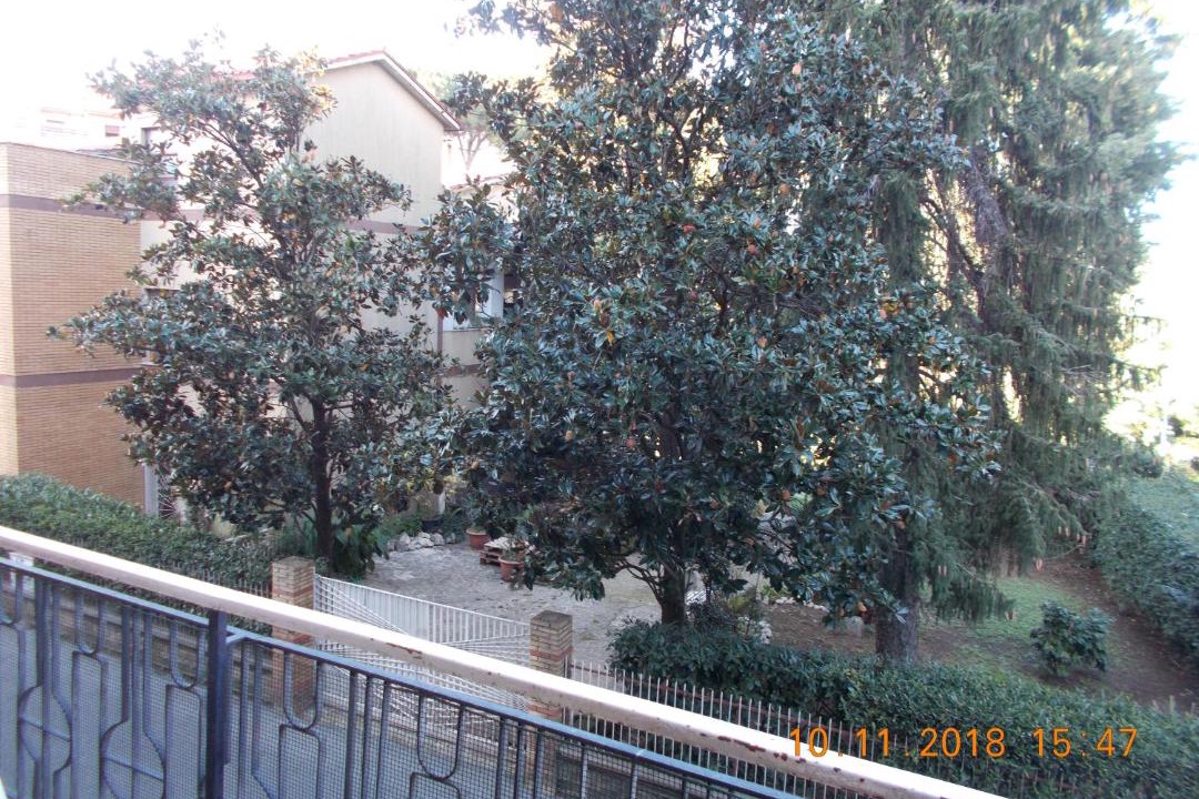 Photo of Others in San Cesareo