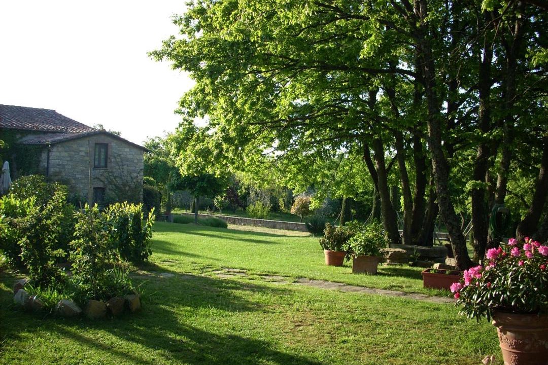 Photo of Others in Montegabbione