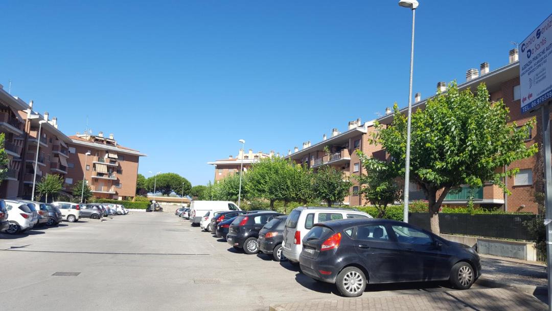 Photo of Others in Nettuno