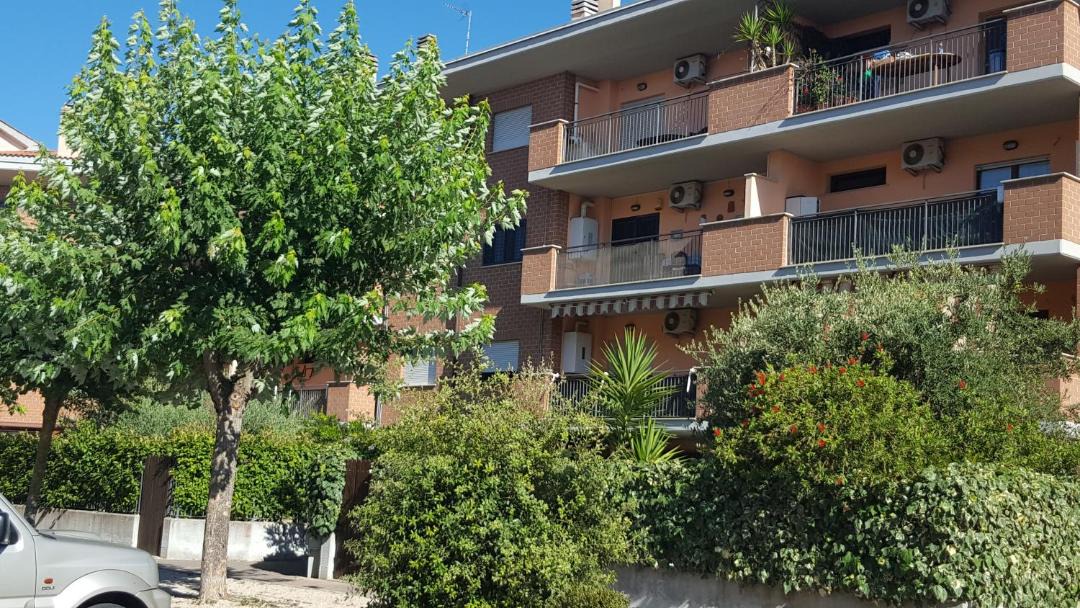 Photo of Others in Nettuno