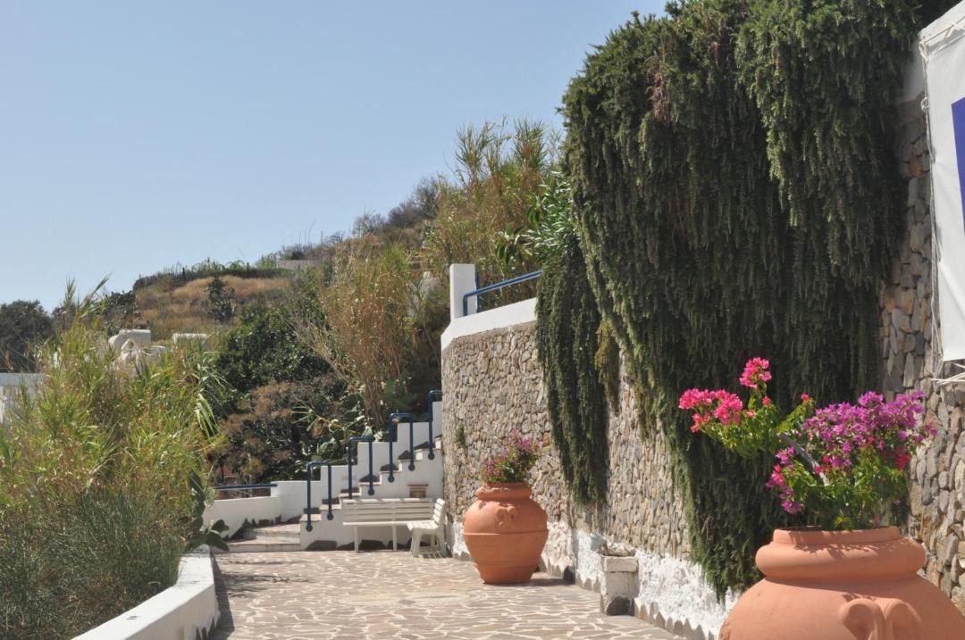 Photo of Others in Ponza