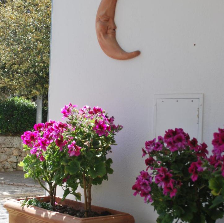 Photo of Others in Coreggia