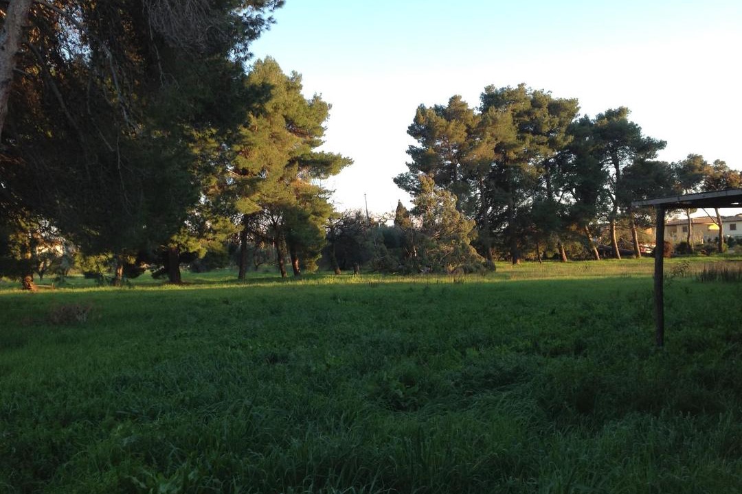 Photo of Others in Riotorto