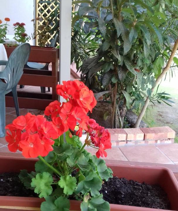 Photo of Patio Balcony in Palinuro