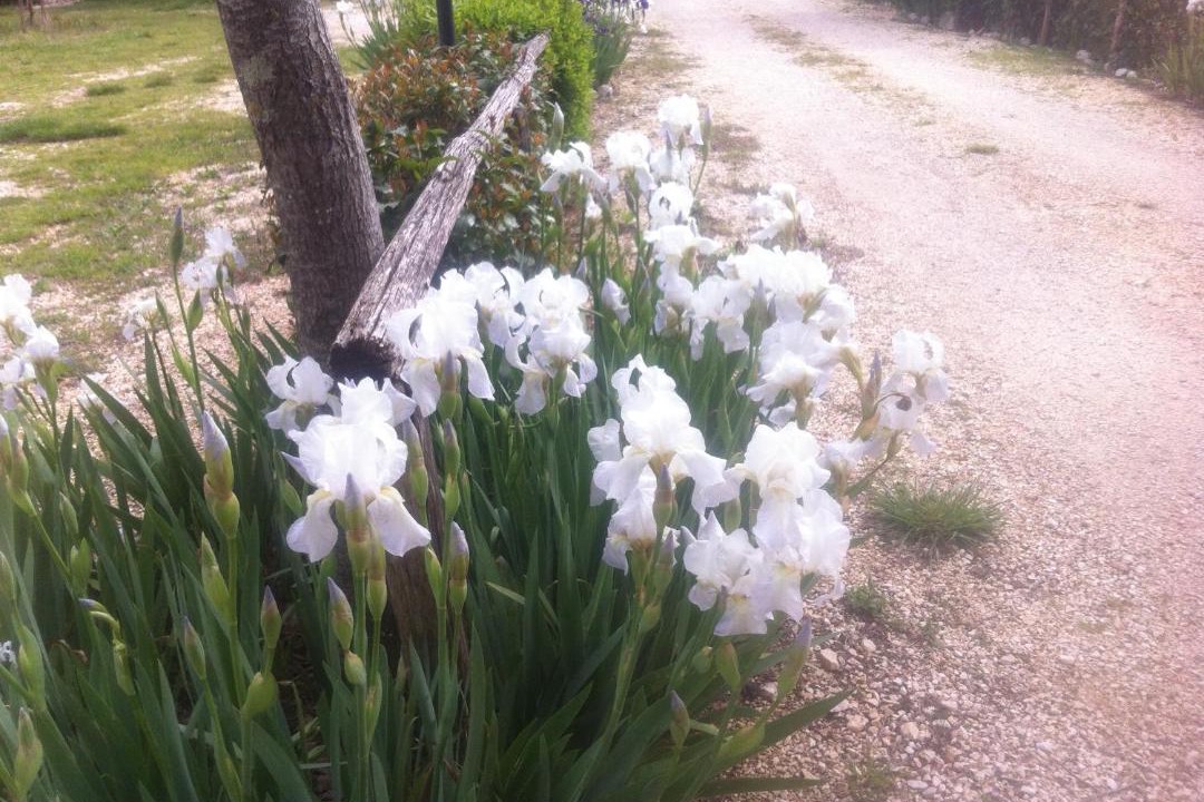 Photo of Others in Civitella d'Agliano