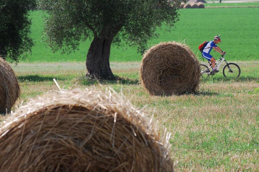 Photo of Others in Montorsaio