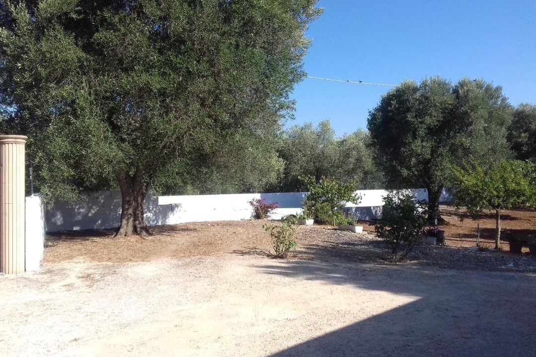 Photo of Others in Carovigno