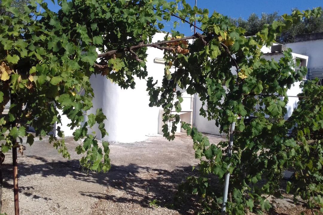 Photo of Others in Carovigno