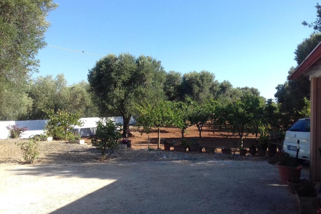 Photo of Others in Carovigno