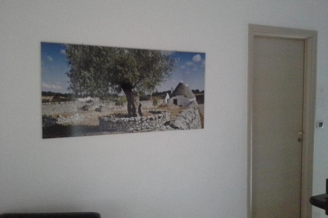 Photo of Others in Municipio 5