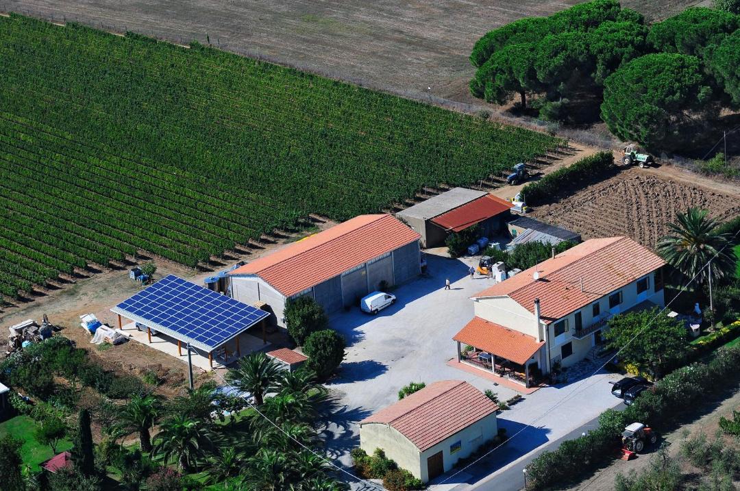 Photo of Others in Bolgheri I