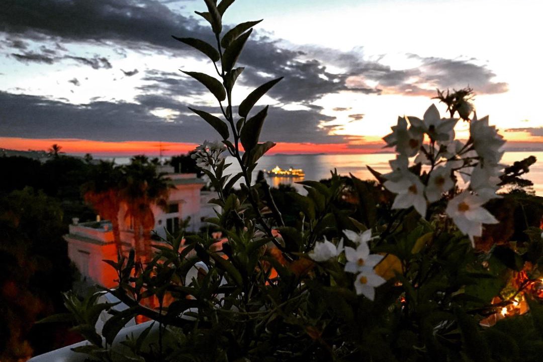 Photo of Others in Sant'Agnello