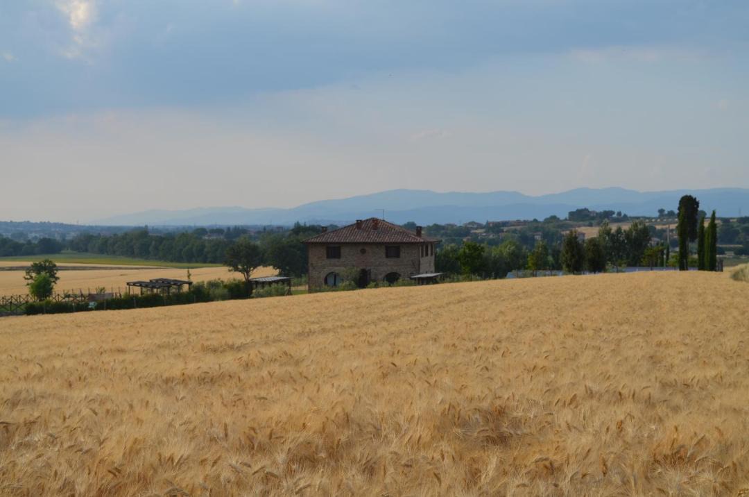 Photo of Others in Panicale