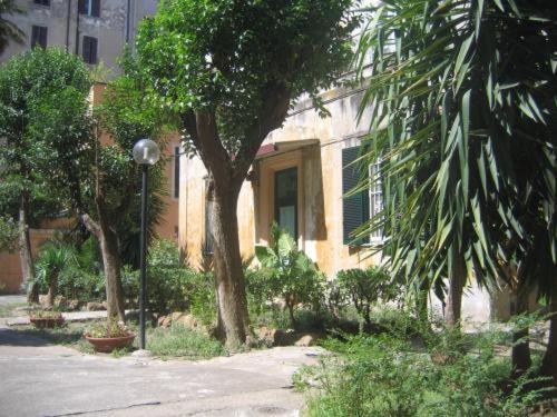 Photo of Others in Esquilino