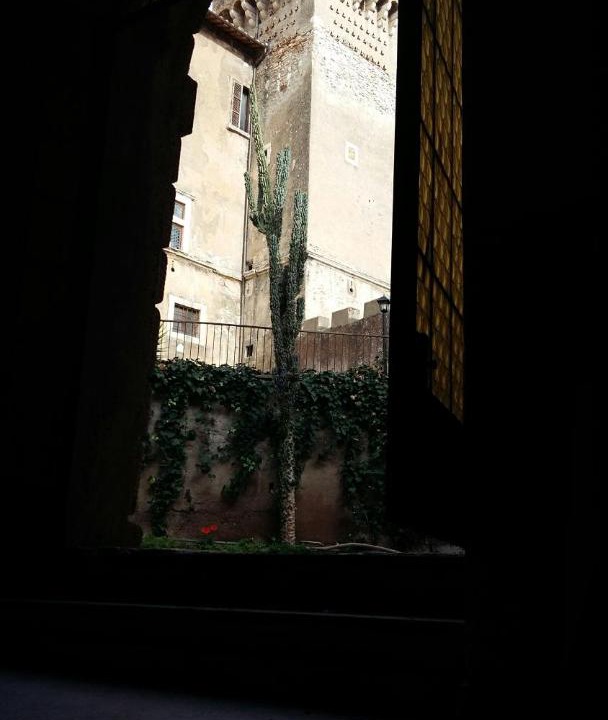 Photo of Others in Fiano Romano